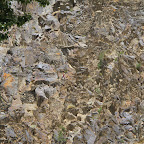 IMG_1767.JPG