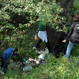 11. Ecologizare 26 septembrie 2009