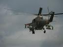 IMG_1140.jpg