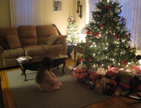 Dec 25 2010 001 Dec 25 2010 001
