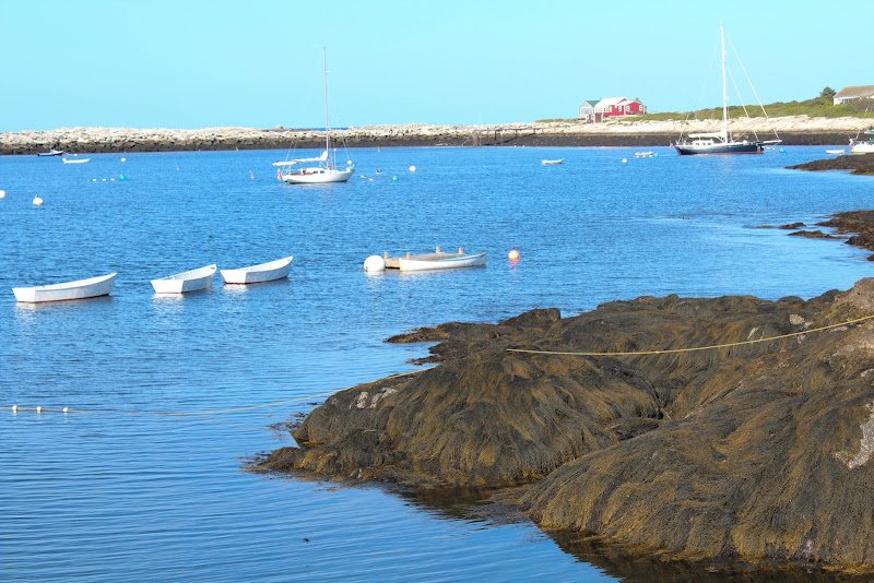 Star Island rowboats.jpg