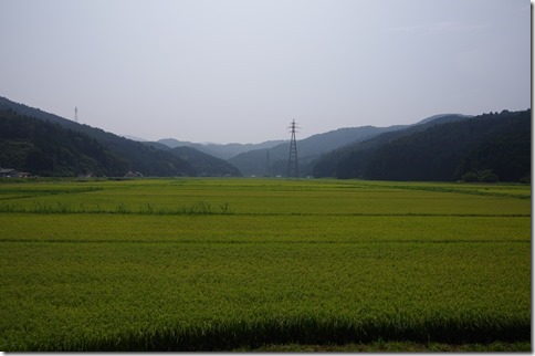 IMGP8670 IMGP8670