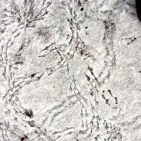 [20120204_094837%255B5%255D.jpg]