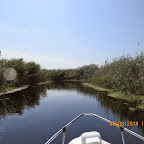 IMG_5722.JPG