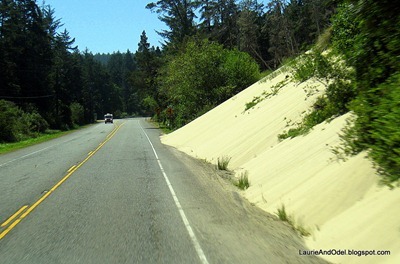 Florence Dunes