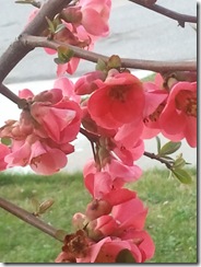 2012-03-22 17.39.57