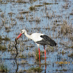 IMG_0633.JPG