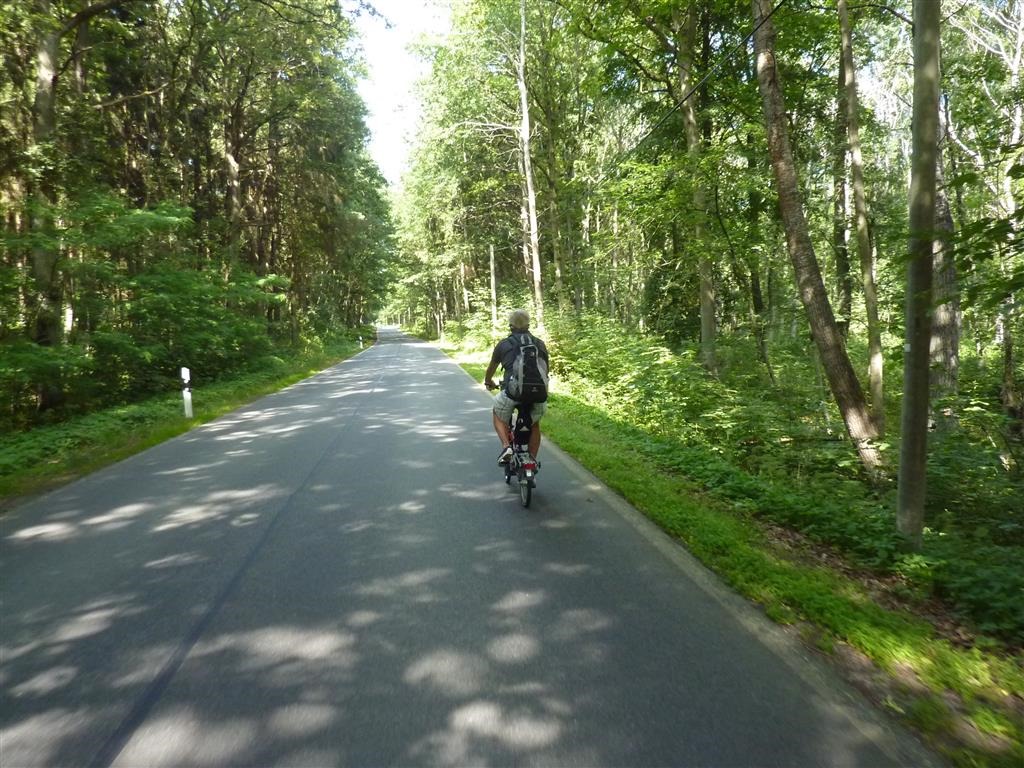 [P1030677-Medium3.jpg]