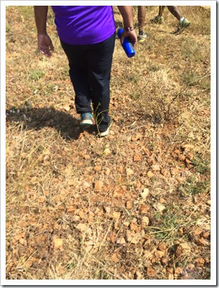 Evernote-Camera-Roll-20150127-033604 Evernote-Camera-Roll-20150127-033604