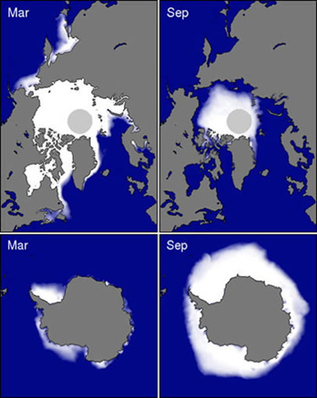 Minimum and maximum sea ice cover for the Arctic and Antarctic. Winter in the Southern Hemisphere is opposite that of the Northern Hemisphere, which explains why Antarctica has less sea ice during February. The black circles in the center of the Northern Hemisphere images are areas lacking data due to limitations in satellite coverage at the North Pole. National Snow and Ice Data Center, University of Colorado, Boulder, Colorado