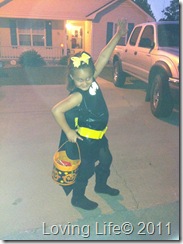 IMG_1986 IMG_1986