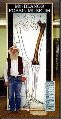 femur femur