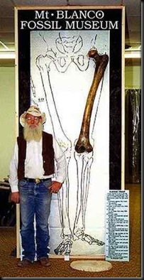 femur