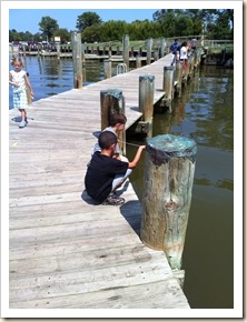 more crabbing more crabbing