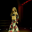 Document Name_3_260.JPG