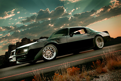 1976 pontiac firebird trans am 1976 pontiac firebird trans am