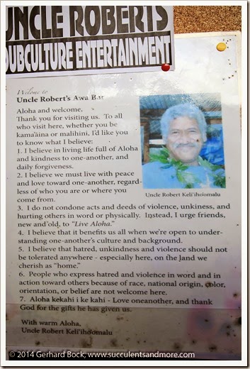 Hawaii: Uncle Robert’s night market in Kalapana