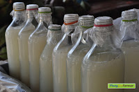 san jose market palawan 0007.jpg
