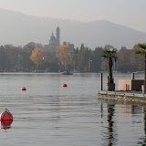 Palm trees in the fall time in Zurich