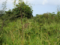 DSC05391.JPG