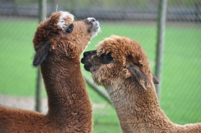 [DSC_1229%255B3%255D.jpg]