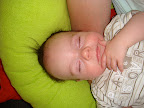 DSC01380.JPG