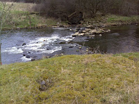 DSC00359.JPG Photo