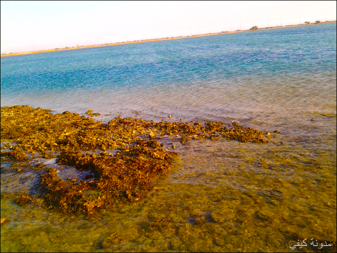 4 صور تصويري بتقنية HDR HDR1