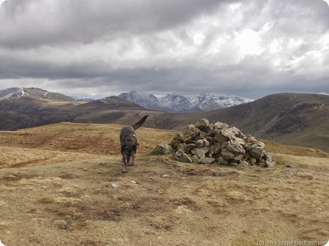 top of gavel fell