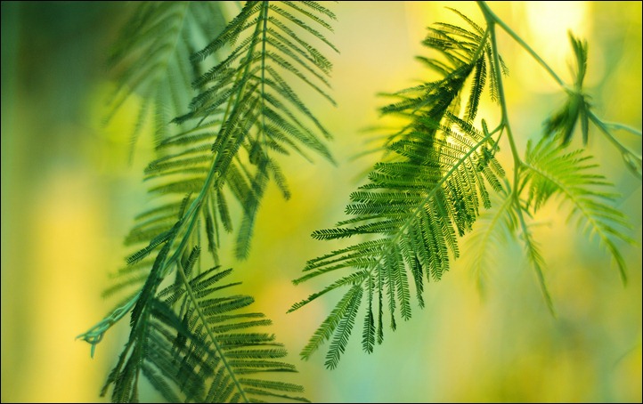 greenish