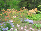 I know this photo is out of focus (my camera was still on macro mode, a feature I use a lot when I'm in gardens!), but I include it because it speaks volumes about Chanticleer's mission. When you aren't thinking about identifying plants, you can simply appreciate its effect in the landscape.