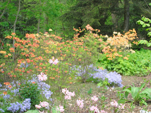 I know this photo is out of focus (my camera was still on macro mode, a feature I use a lot when I'm in gardens!), but I include it because it speaks volumes about Chanticleer's mission. When you aren't thinking about identifying plants, you can simply appreciate its effect in the landscape.