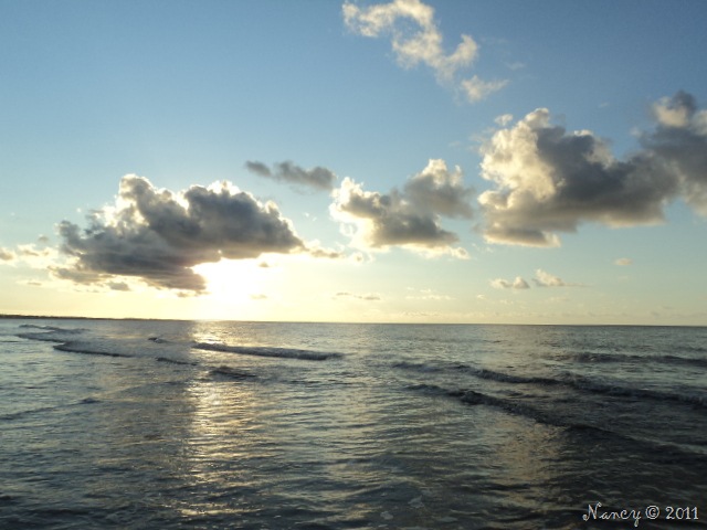 [DSC042598.jpg]