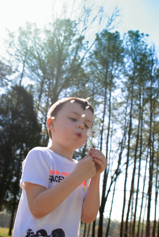 [DSC_4568%255B5%255D.jpg]