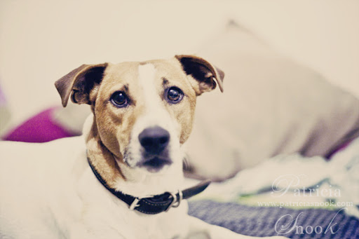 20120327_3778small-2012-04-2-10-16.jpg