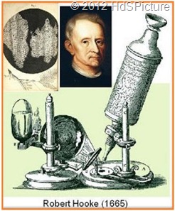 Robert Hooke Robert Hooke