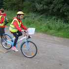 carfreeday 011.jpg
