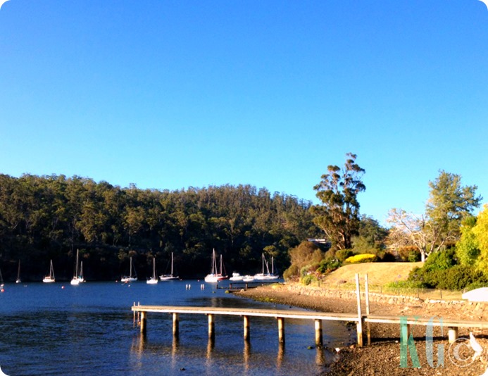 view of the bay boats dock photography pictures tasmania australia