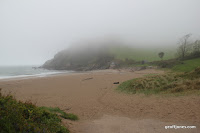 IMG_9271.JPG Photo