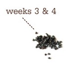 [week49.jpg]