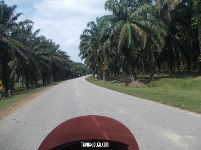 [DSCN13332.jpg]