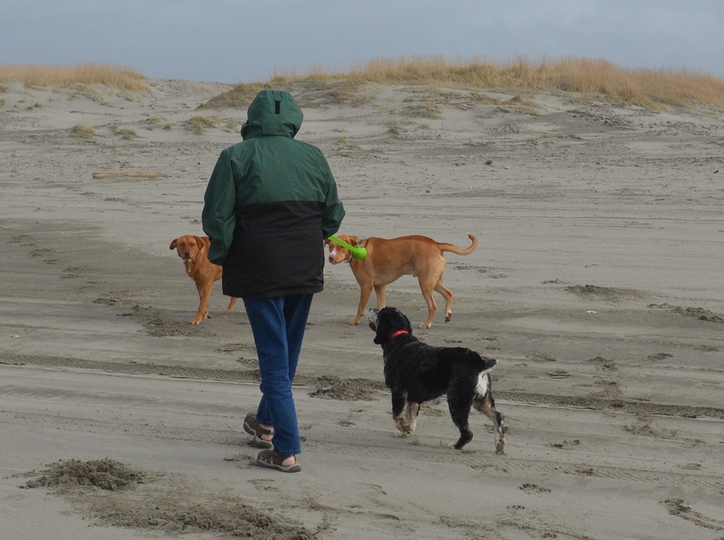 [north-coast_2234.jpg]