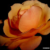 P9180024.JPG