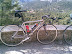 My Roark after getting me up the Puig Major, the highest
peak on Mallorca, training ground of Jan Ullrich.
- Steve McKeever