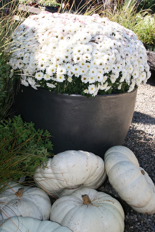 [holiday%2520road%2520058%255B4%255D.jpg]