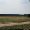 Zweefvliegen 053.JPG