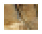 rock study 4, 2010, digital c-print (single edition), 16 x 20 in.