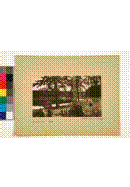 clip_image120 clip_image120