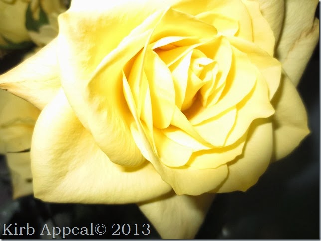 IMG_0642 IMG_0642