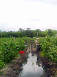 IMG0018A.jpg